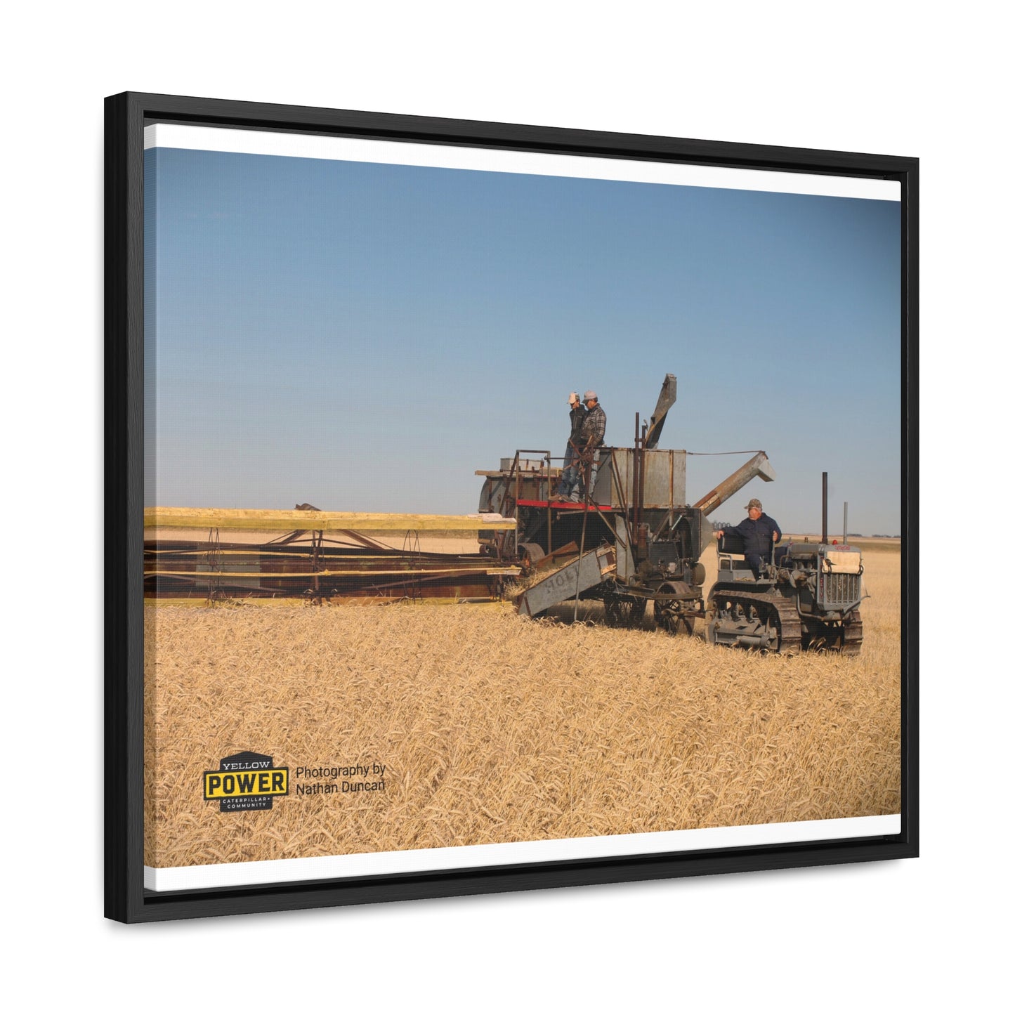 #1 Caterpillar Thirty Gallery Canvas Wraps, Horizontal Frame