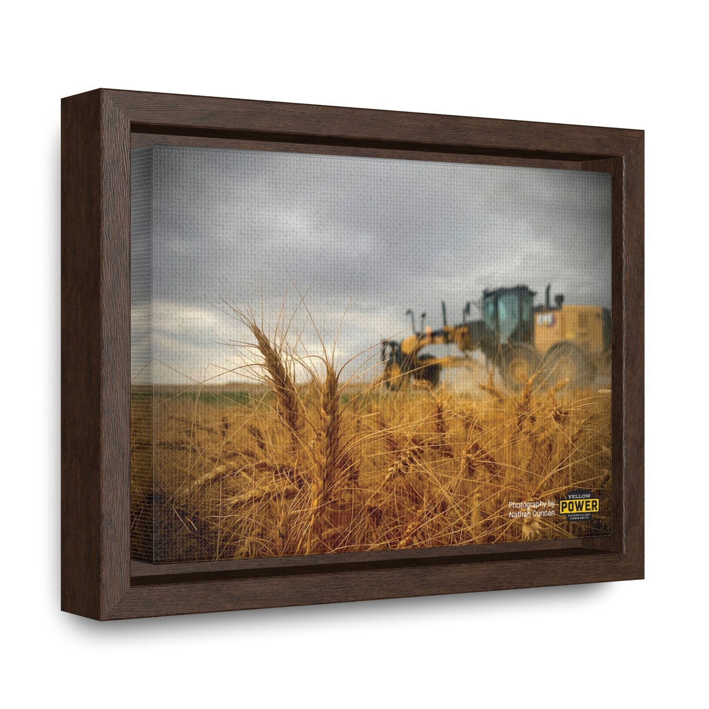 #2 Cat 150AWD Canvas Wraps, Horizontal Frame