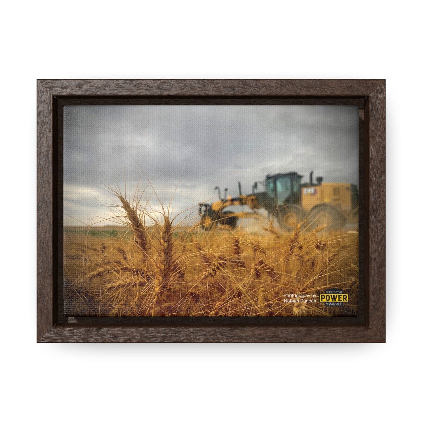 #2 Cat 150AWD Canvas Wraps, Horizontal Frame