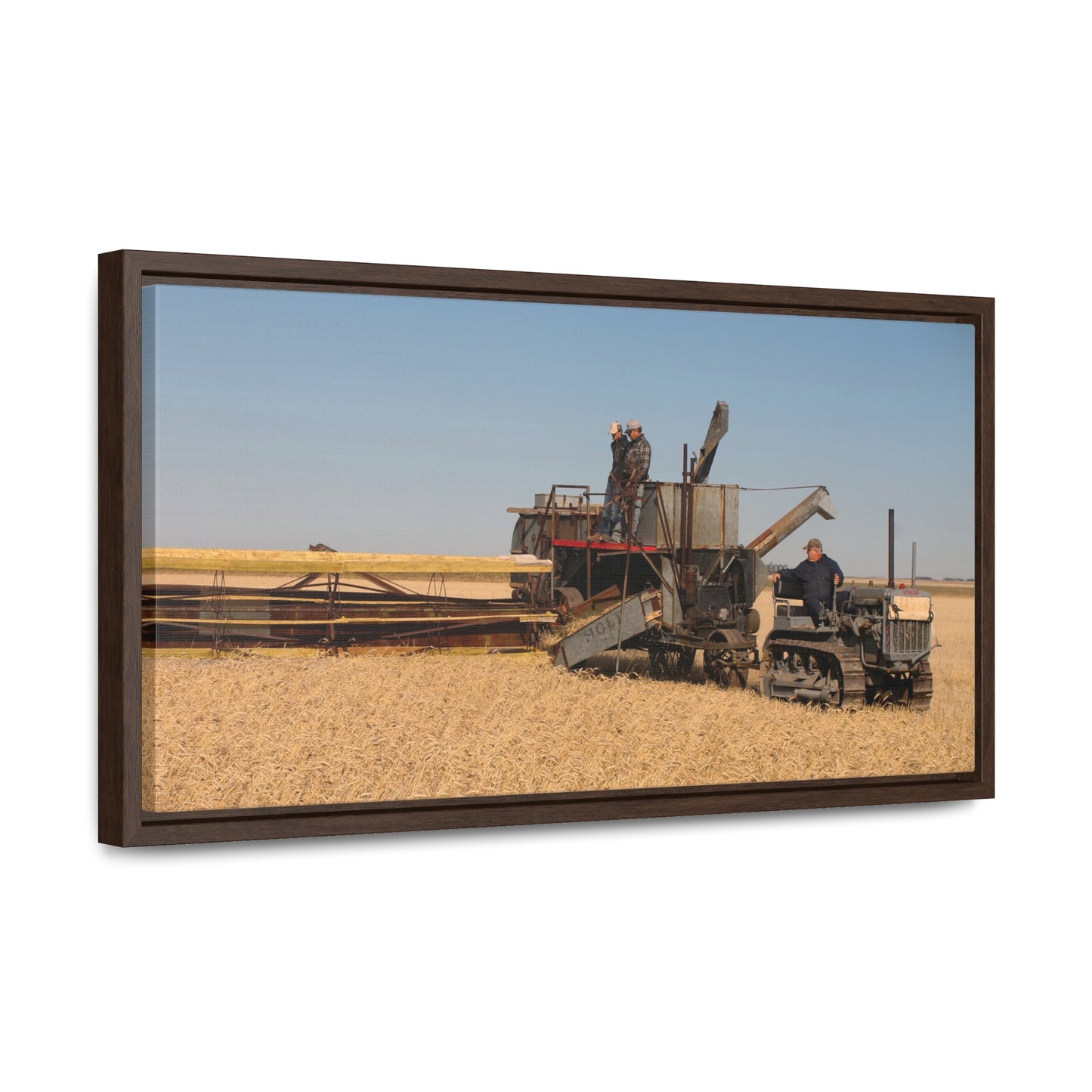 #1 Caterpillar Thirty Gallery Canvas Wraps, Horizontal Frame