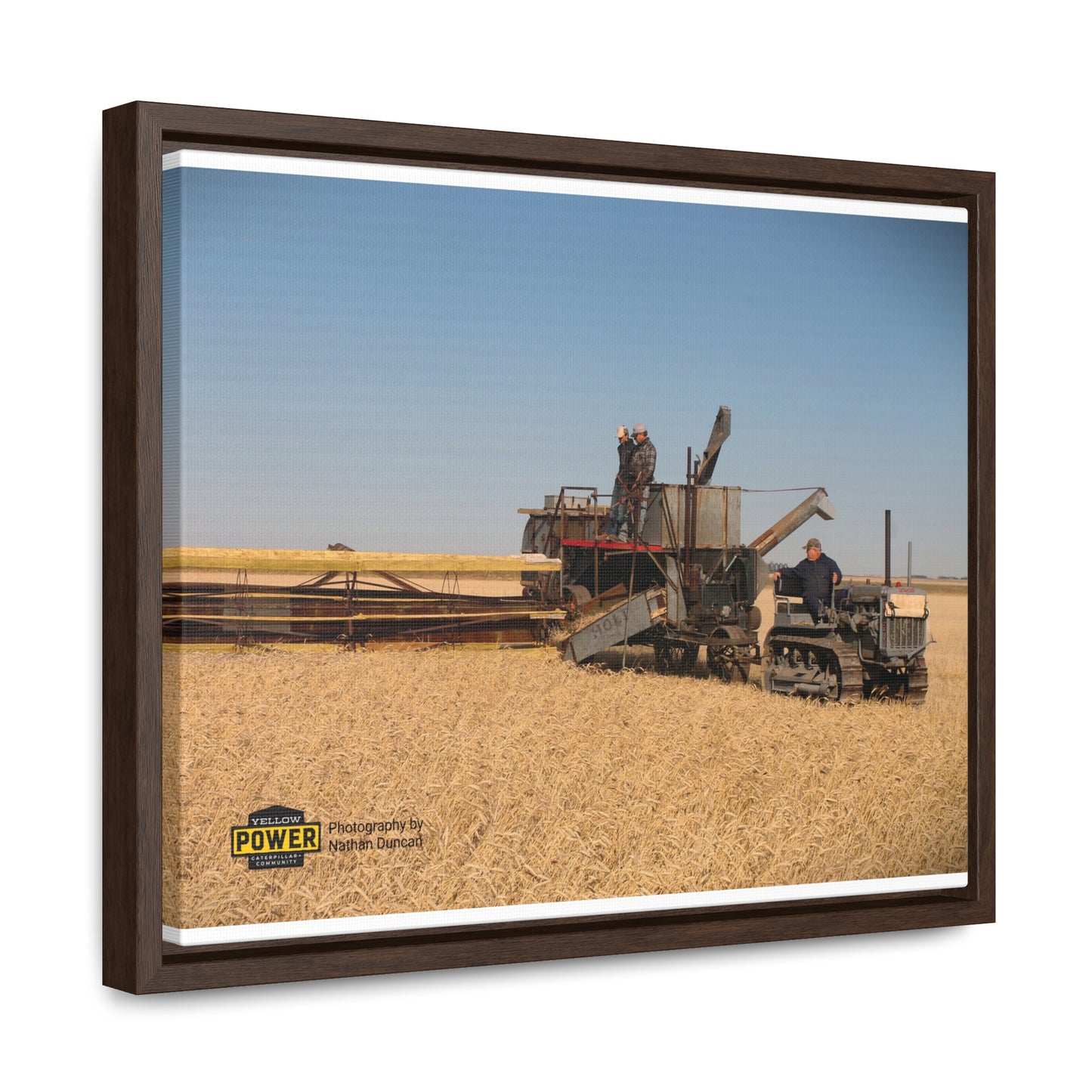 #1 Caterpillar Thirty Gallery Canvas Wraps, Horizontal Frame