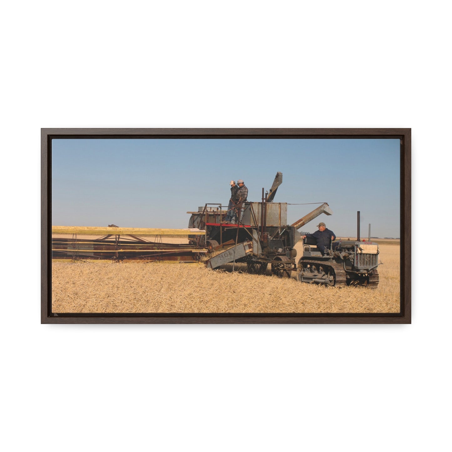 #1 Caterpillar Thirty Gallery Canvas Wraps, Horizontal Frame