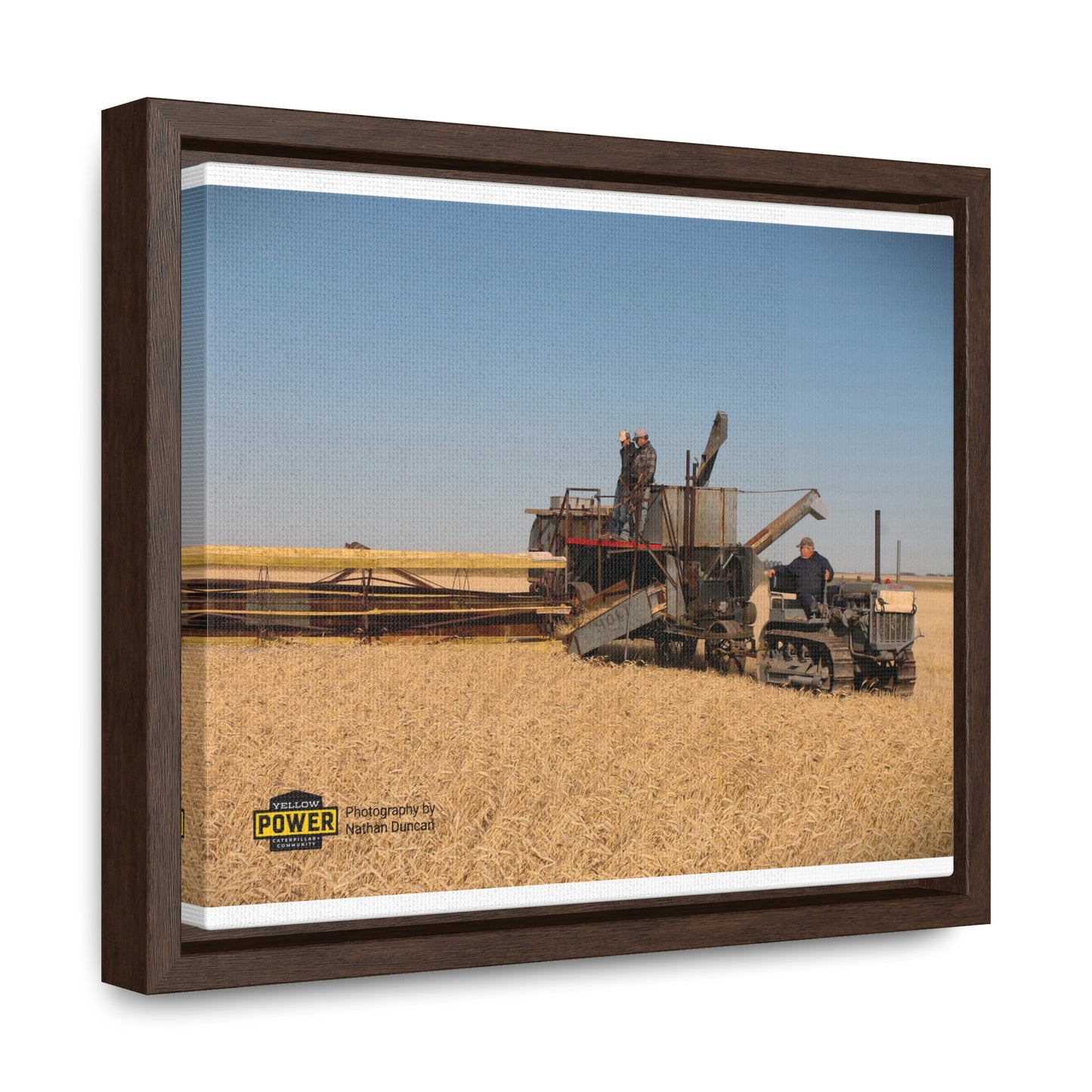 #1 Caterpillar Thirty Gallery Canvas Wraps, Horizontal Frame