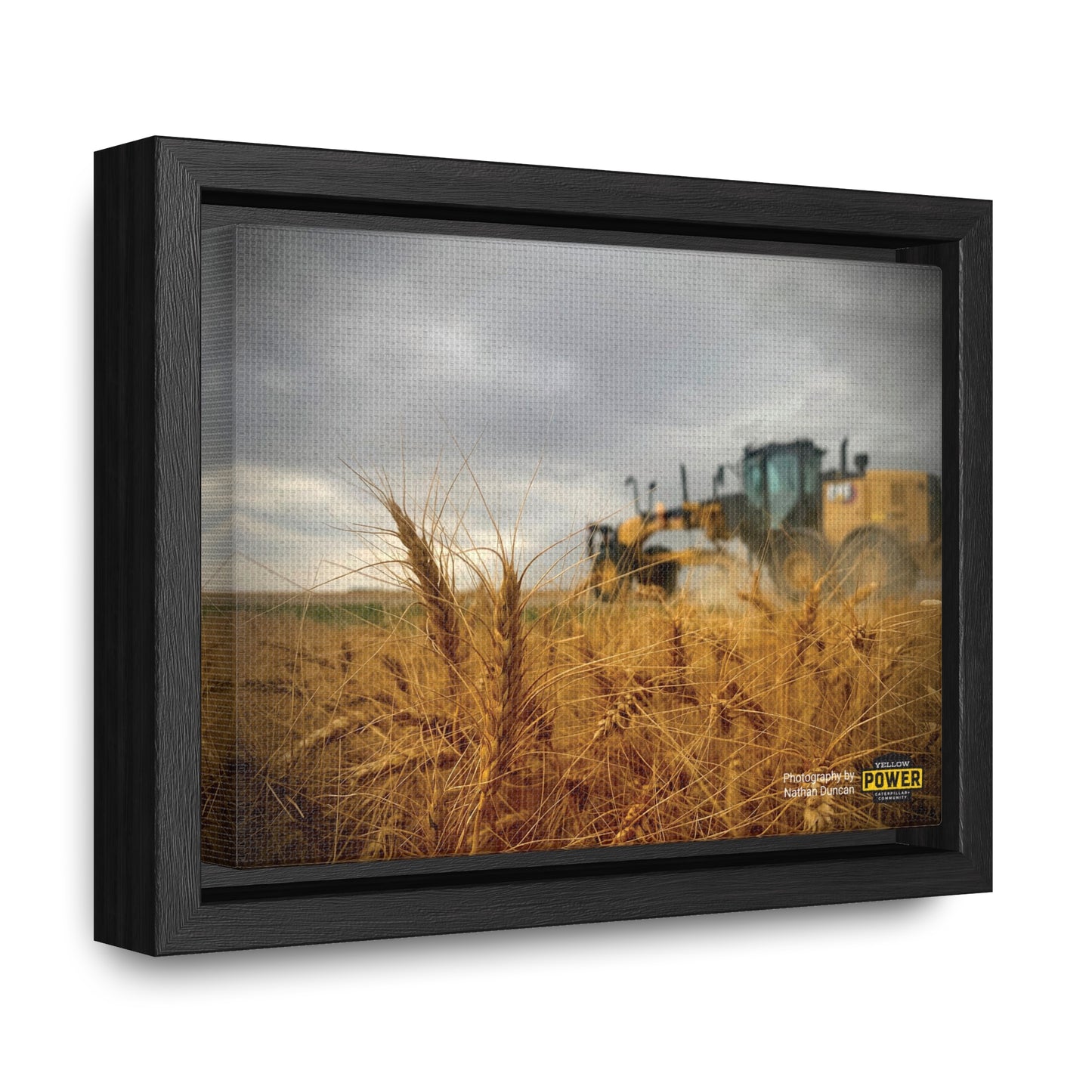 #2 Cat 150AWD Canvas Wraps, Horizontal Frame