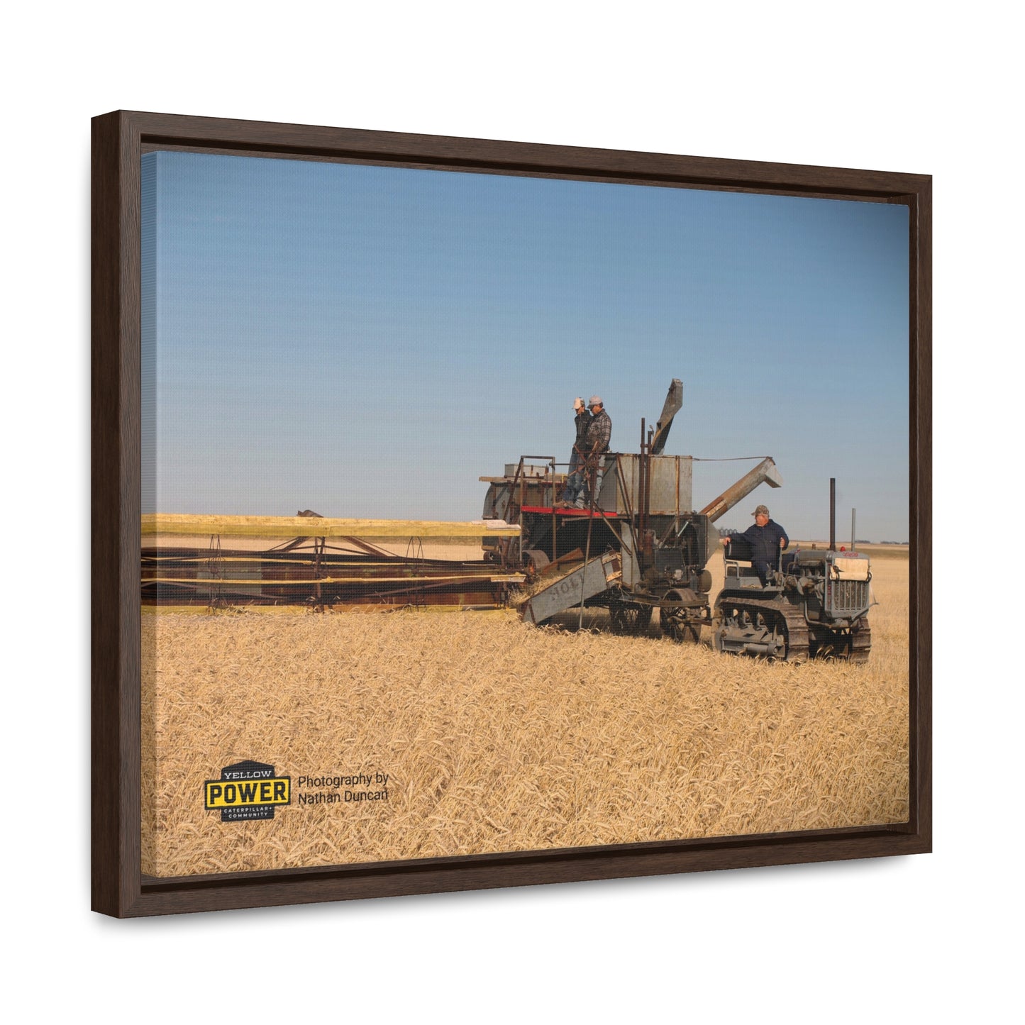 #1 Caterpillar Thirty Gallery Canvas Wraps, Horizontal Frame