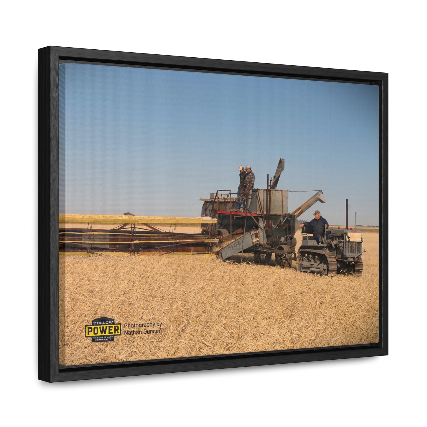 #1 Caterpillar Thirty Gallery Canvas Wraps, Horizontal Frame