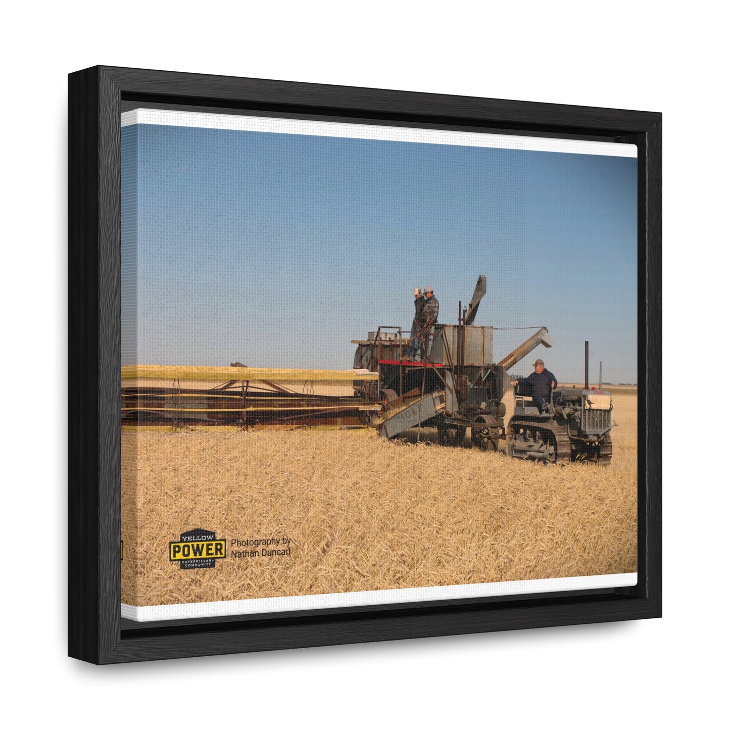 #1 Caterpillar Thirty Gallery Canvas Wraps, Horizontal Frame